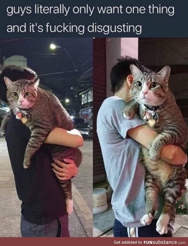 Le big p*ssy cat