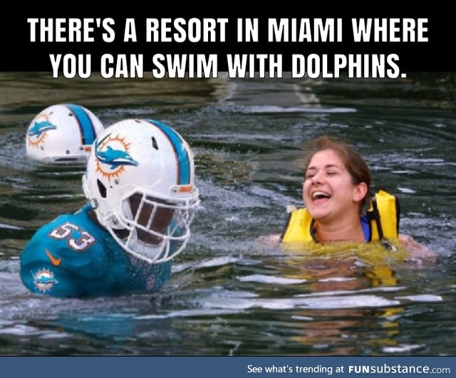 Swim with the dolphins