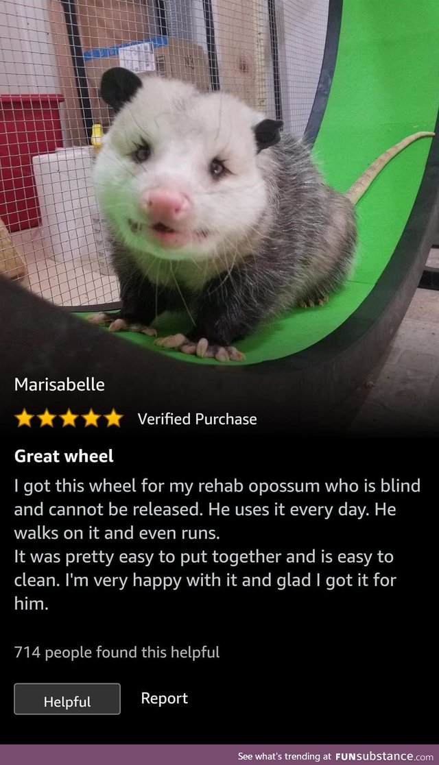 Opossum tested, Amazon approved