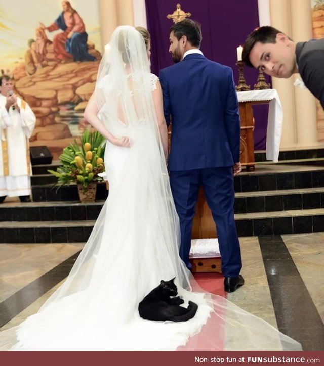 Black kitty wedding crasher, who's known to wander around the church, decides to lay