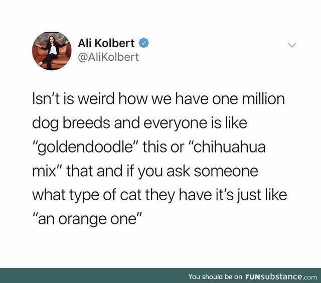 I have an orange one too