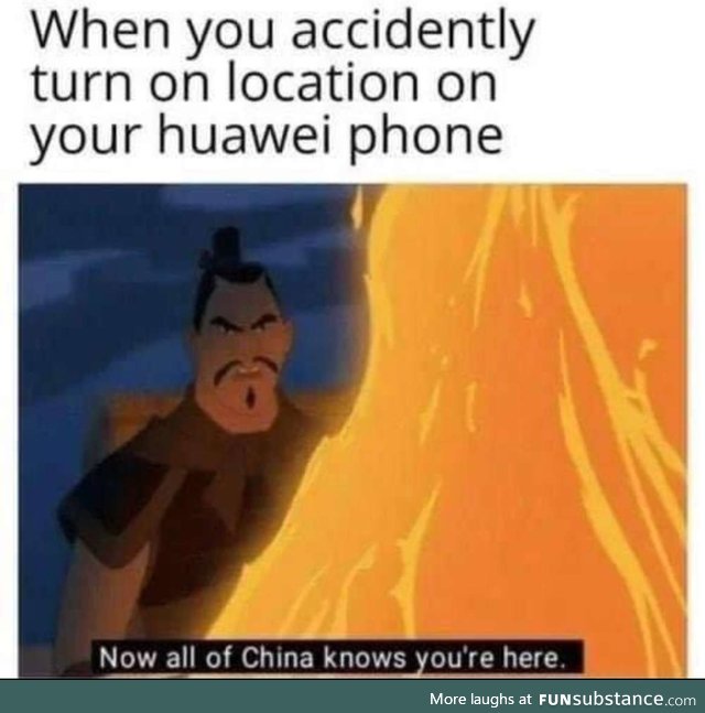 Can we make more mulan memes?