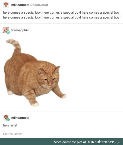 CHONK