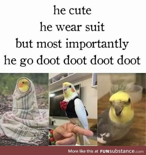 Doot that thing!