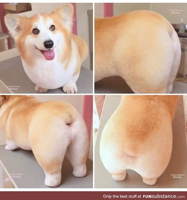 Lemme show you a thicc ass