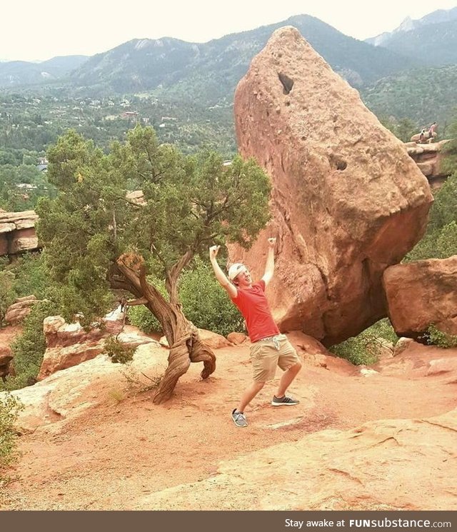 Went to Colorado to visit some family, discovered a happy ass tree among the Garden of