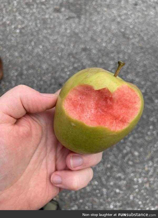 Went Apple picking, picked this Apple took a bite and it was pink like raw beef!