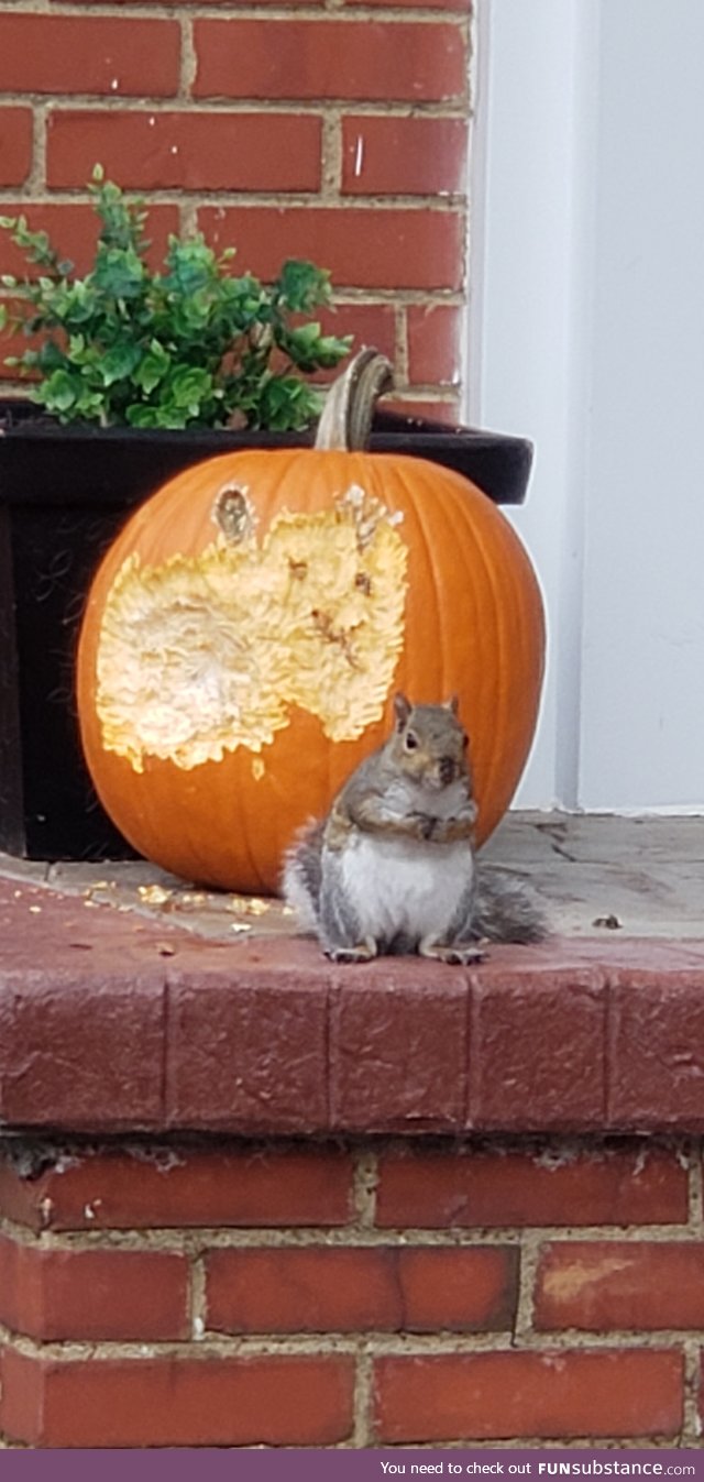 So much for my cute pumpkin!