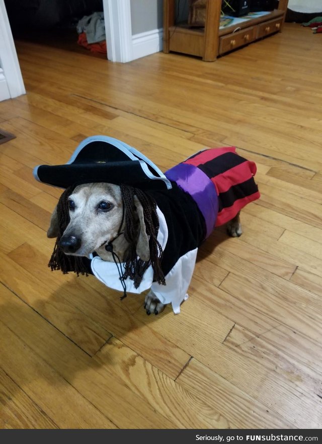 Captain Gus Sparrow