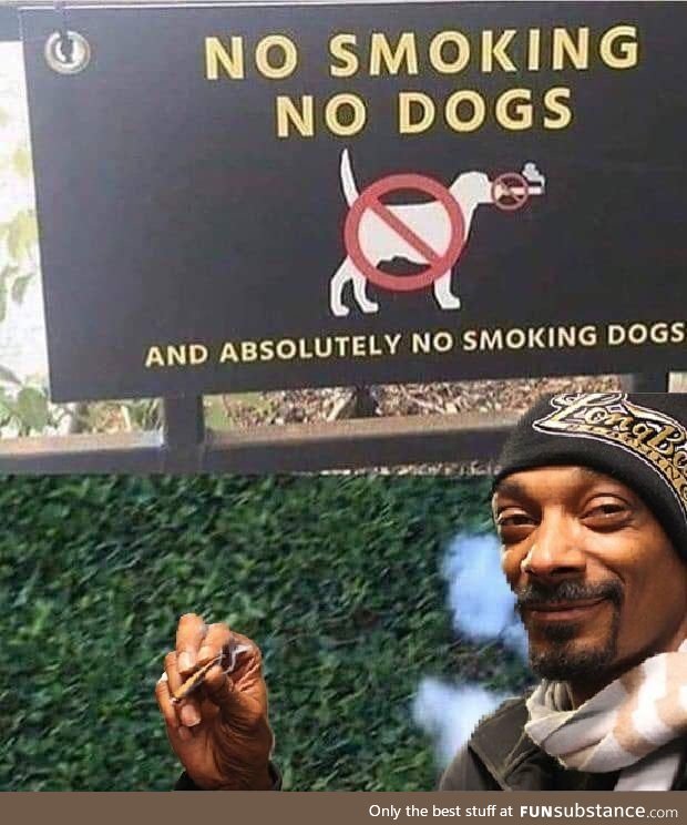 Can’t stop the Dogg