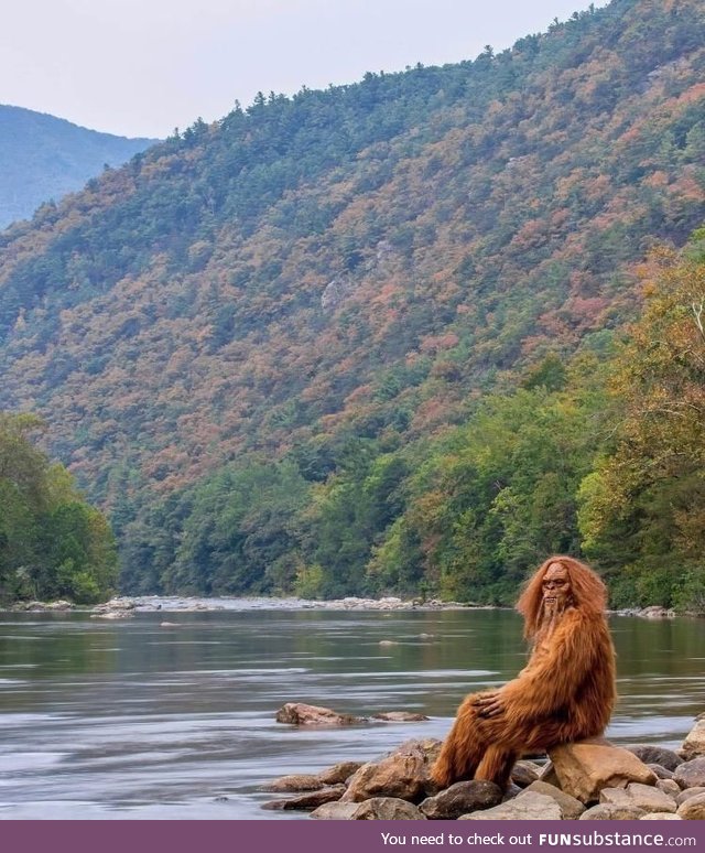 A friend of a friend sent me this pic of himself enjoying the fall colors!