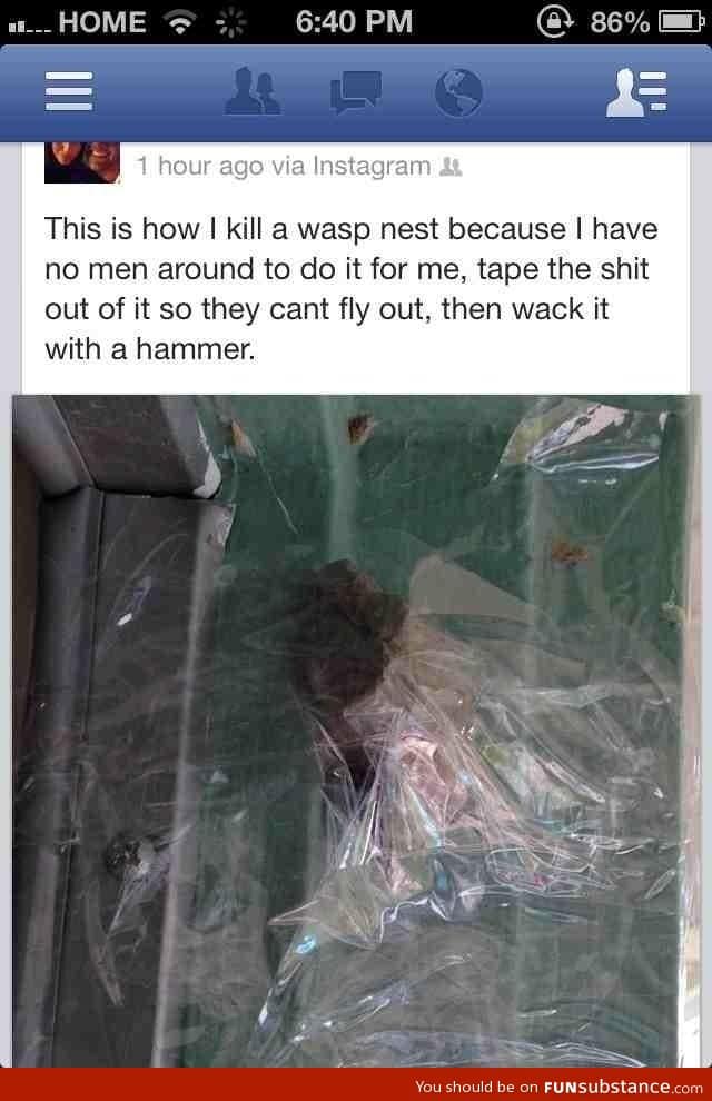 How women kill wasp nests