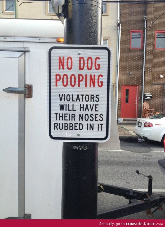 No dog pooping