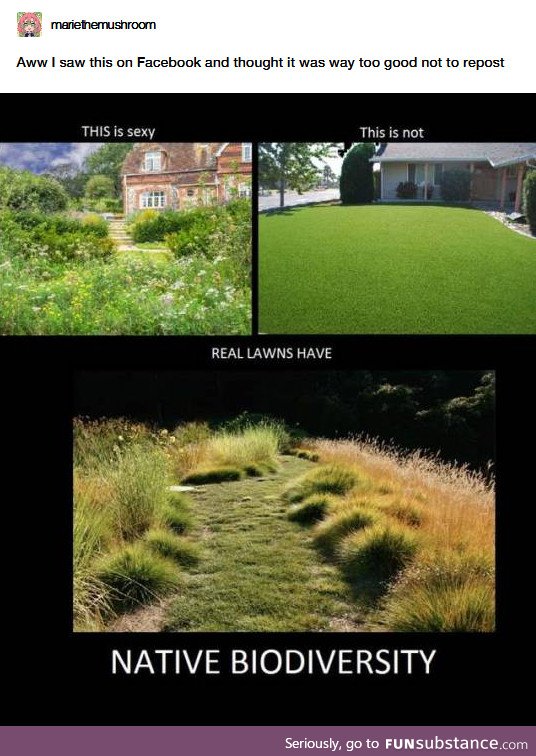 Stop mowing your lawn, basically...?