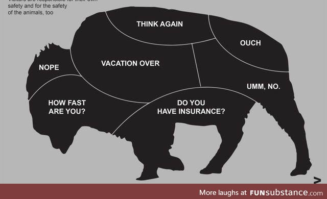 National park service bison petting guide