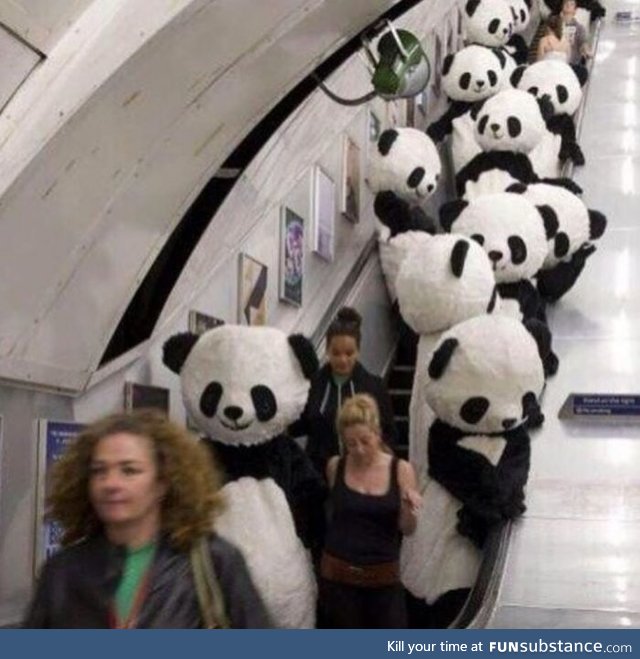 Panda party