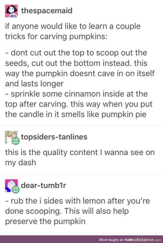 Punkin life hacks