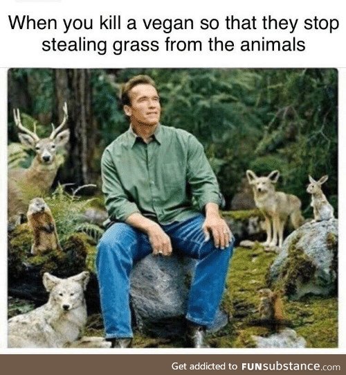 Save the animals