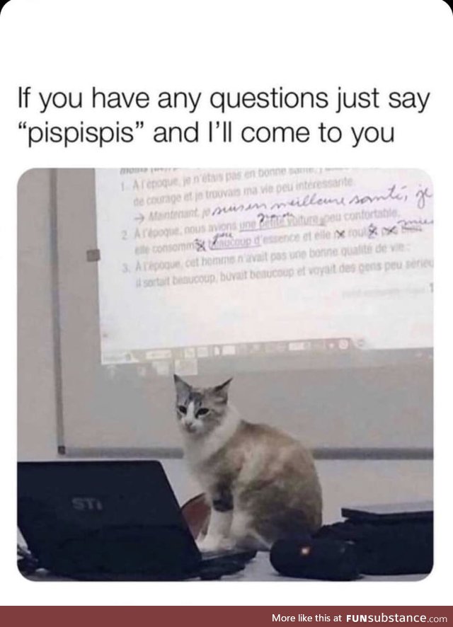 Professor whiskers