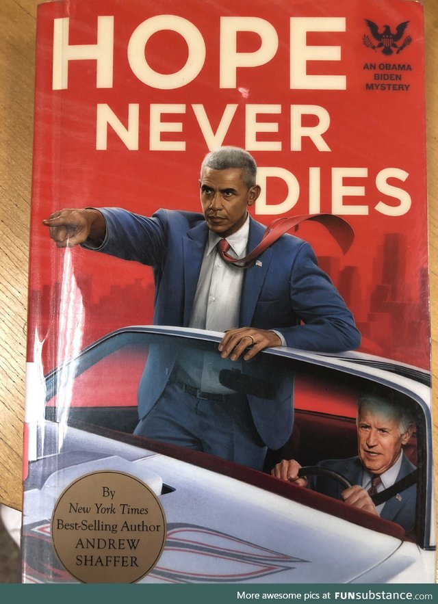 There’s a series of ‘Obama-Biden’ mystery novels, apparently