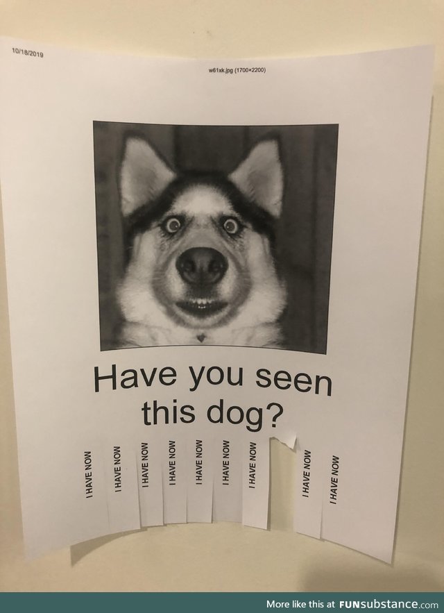 This was hanging on a wall at my office