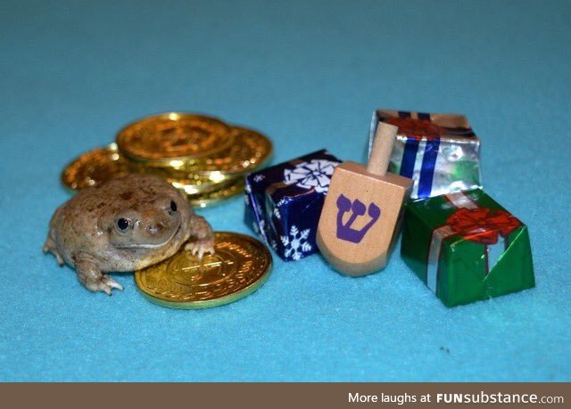 Froggo Fren #74 - Happy Hanukkah!