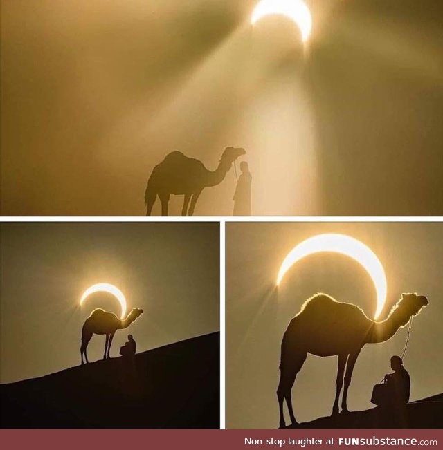 Today's Solar Eclipse, Saudi Arabia. Wow