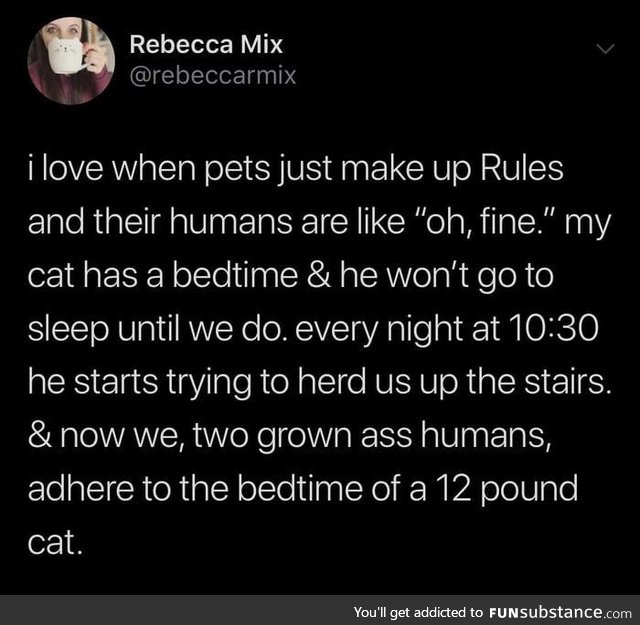 Pets