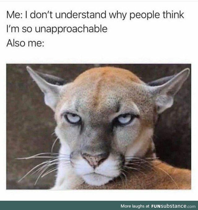 Approachability
