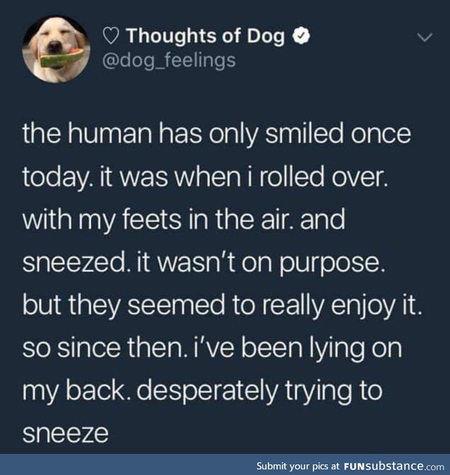 The Human loves the sneezy boi