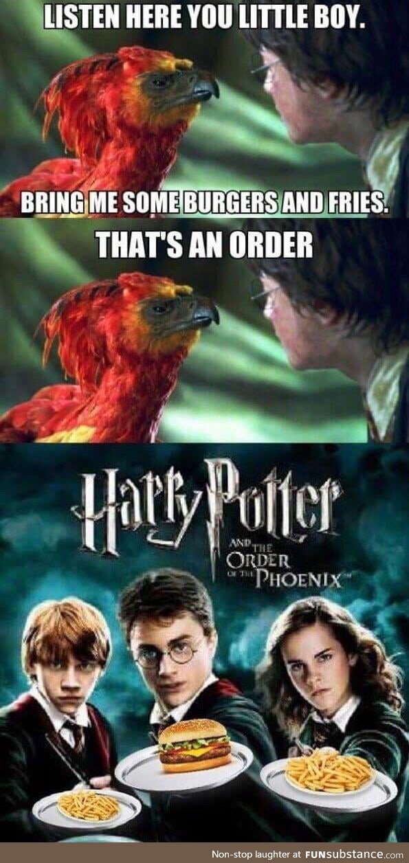 The Order of the Phoenix