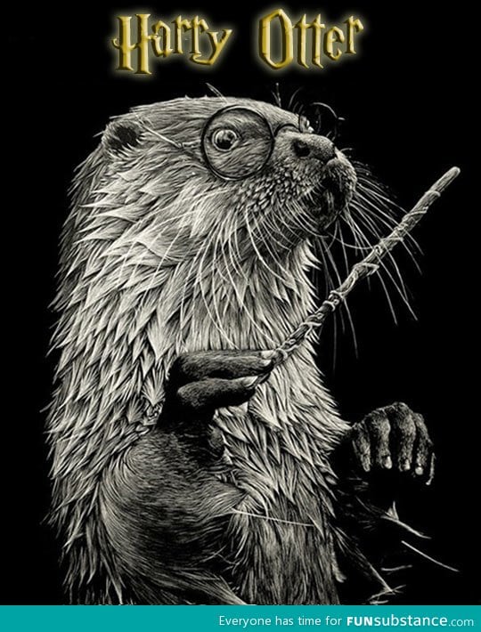 Harry otter