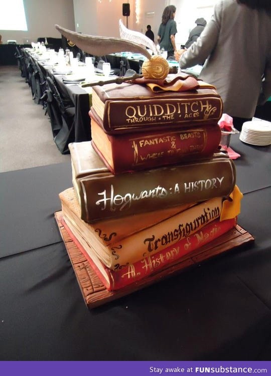 Epic harry potter cake