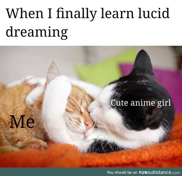 The real reason to learn lucid dreaming