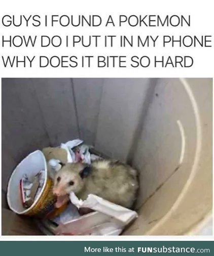 Possums are good