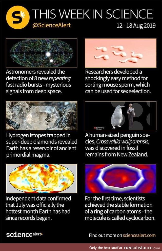 #11 weekly science alert