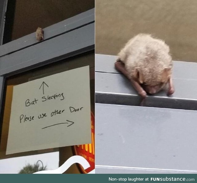 Bro looking out for a bat