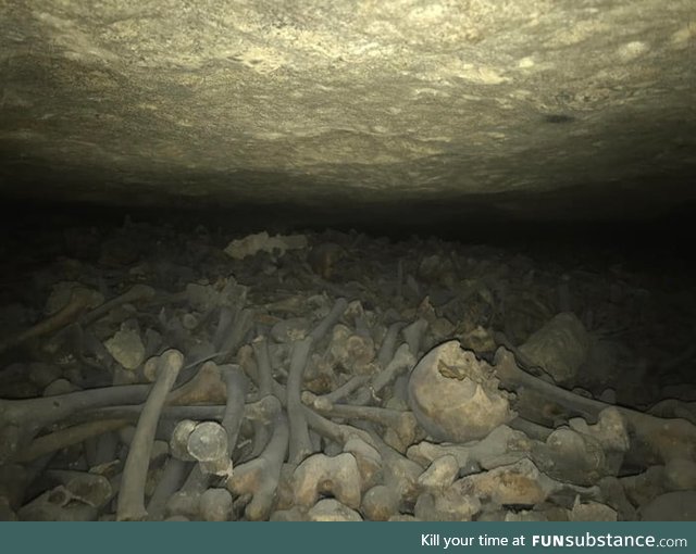 The sheer amount of human bones under Paris, France