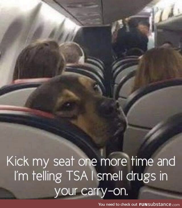 Doggo tell