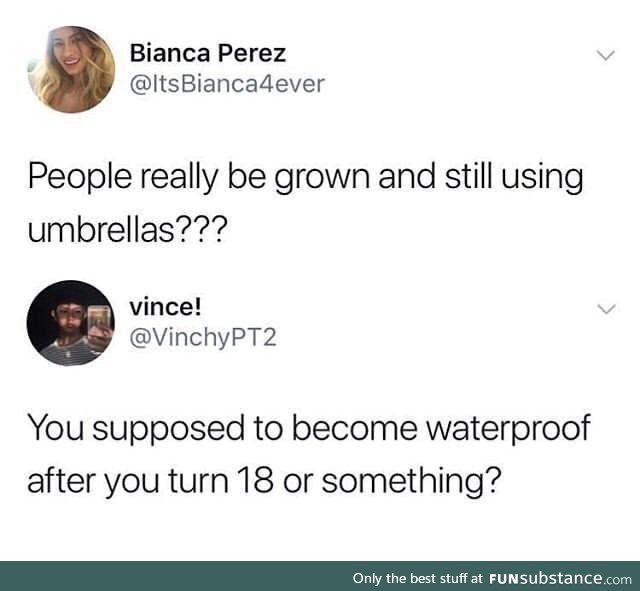 Umbrella