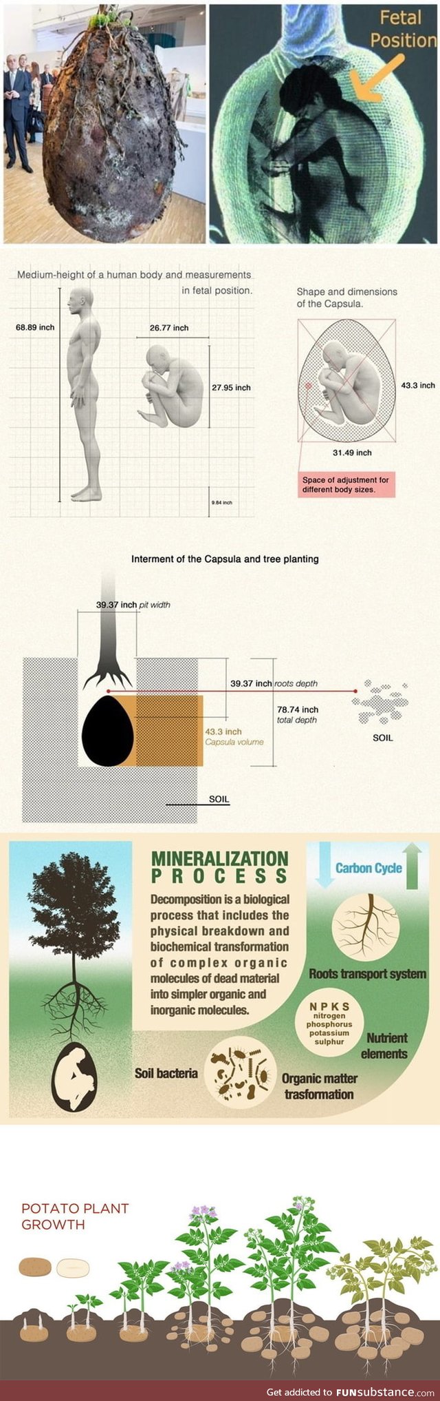 The End of Coffins - Organic Burial Pods Turn Bodies Into Trees