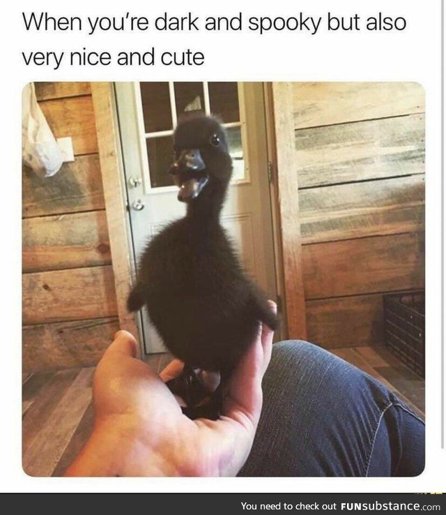 Just a fuzzy gothic water chicken