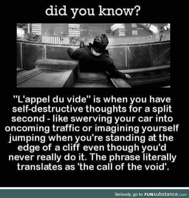 I'm not suicidal, I just want to answer the voids call