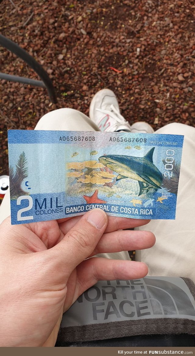 What country has the most beautiful bank note according to you?