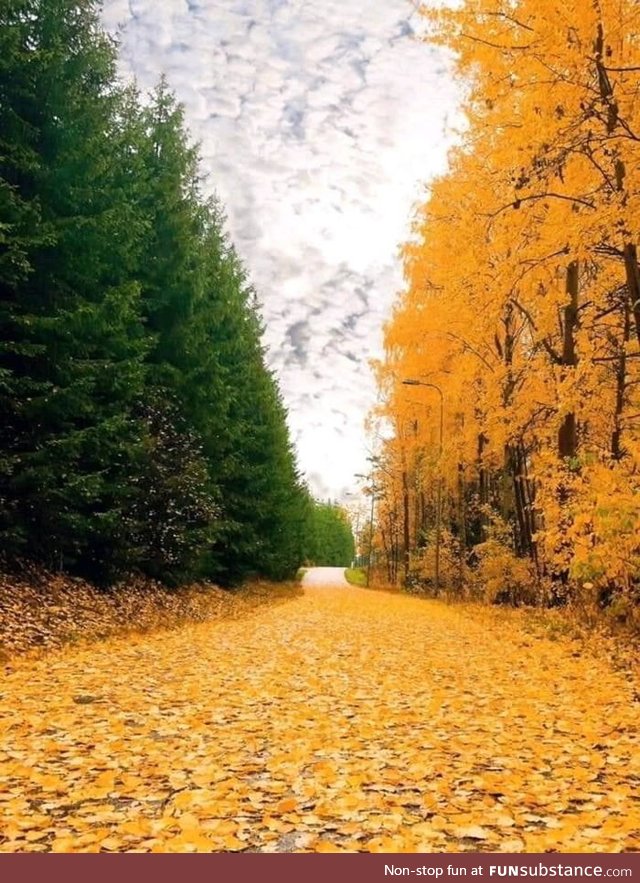 Even nature loves the Irish