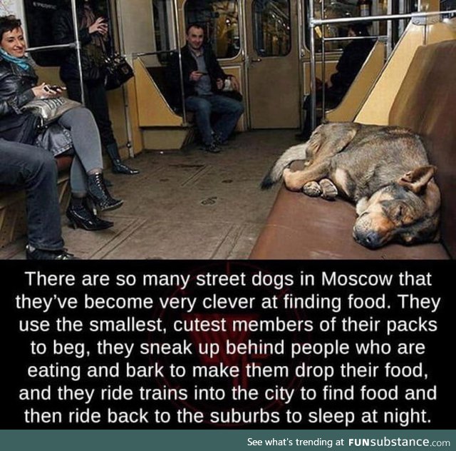 Only in Russia