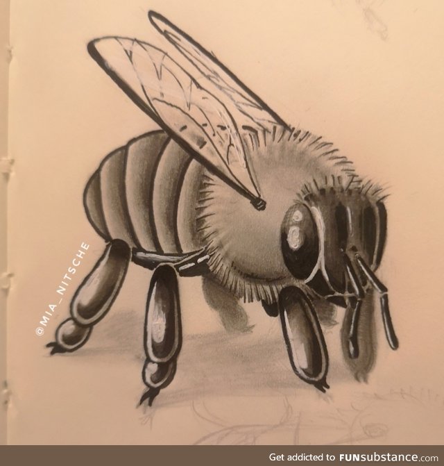 I drew a fuzzy bee because I love them and they are the cutest :')