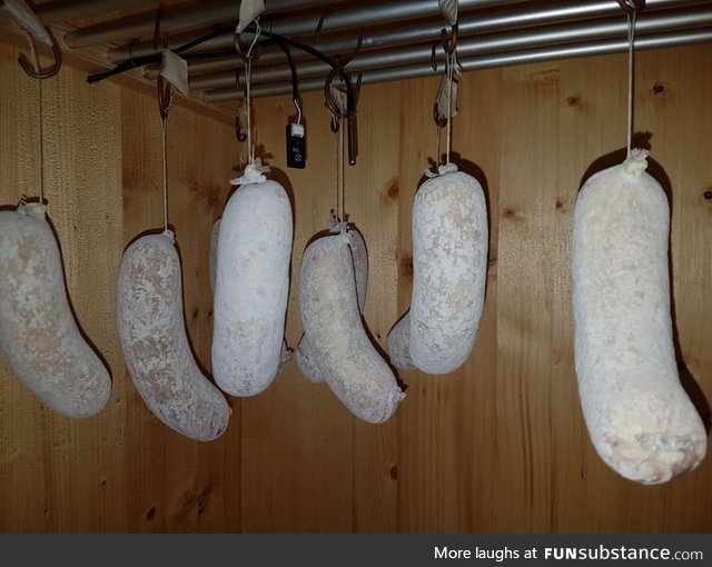 Homemade Mediterranean style salami - Day 2. Fermentation is completed and mold is