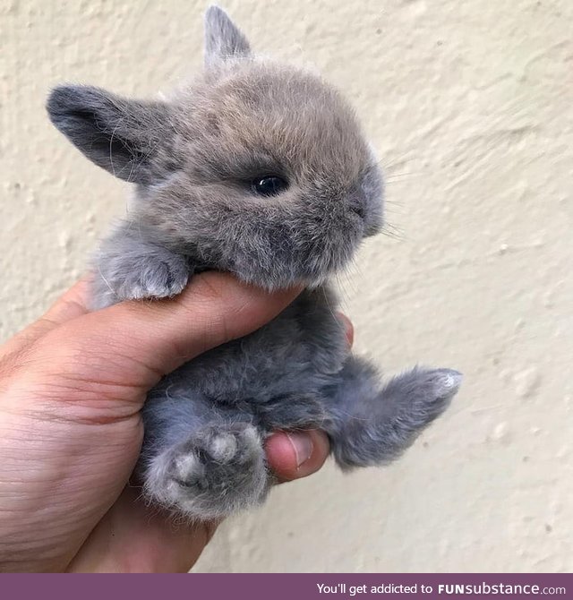 A handful of cuteness to brighten your Monday