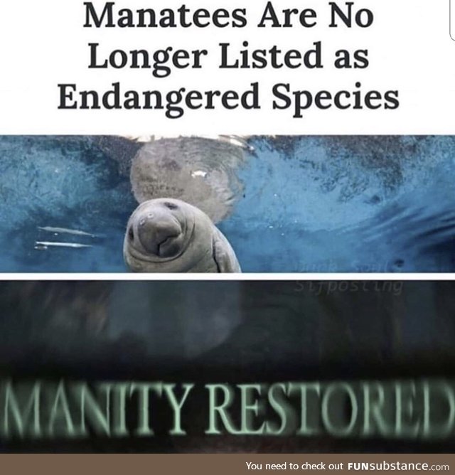 Manatee Restored